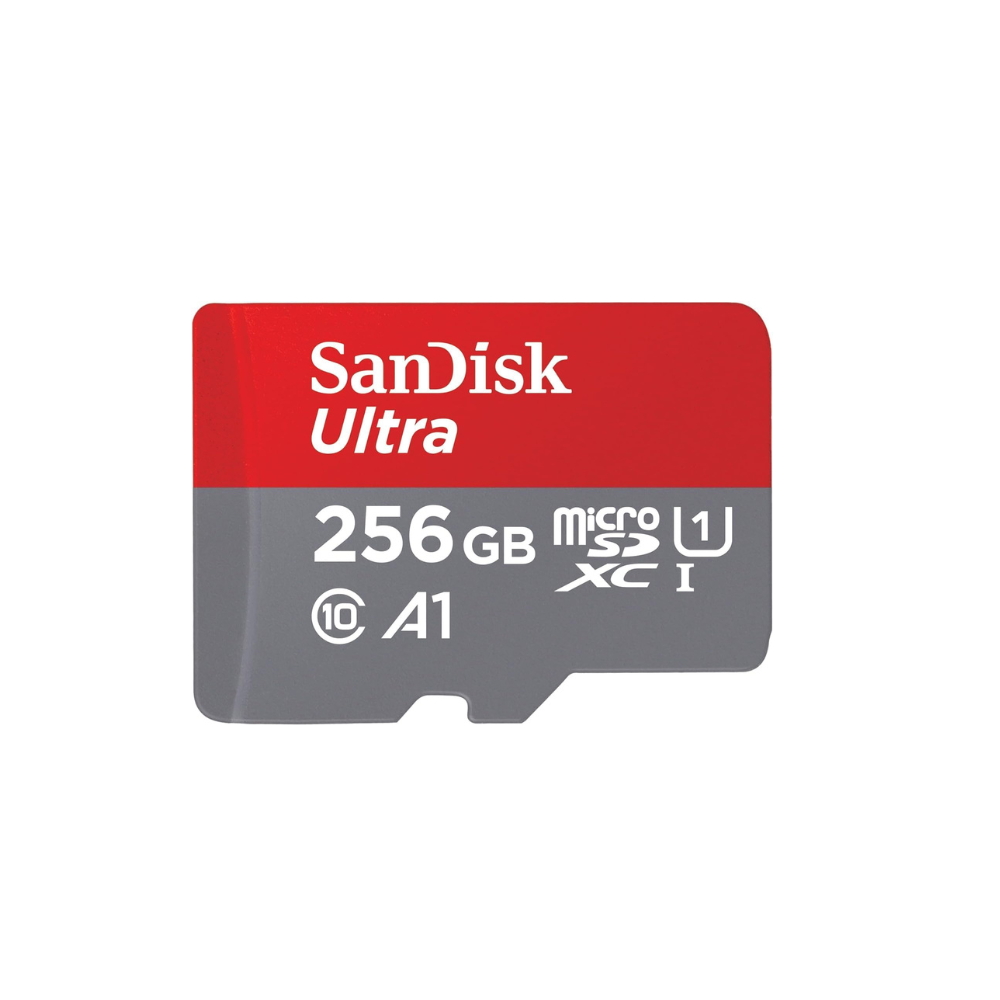 SanDisk Ultra Lite 100MB/S MicroSDXC Class 10 256GB Memory Card