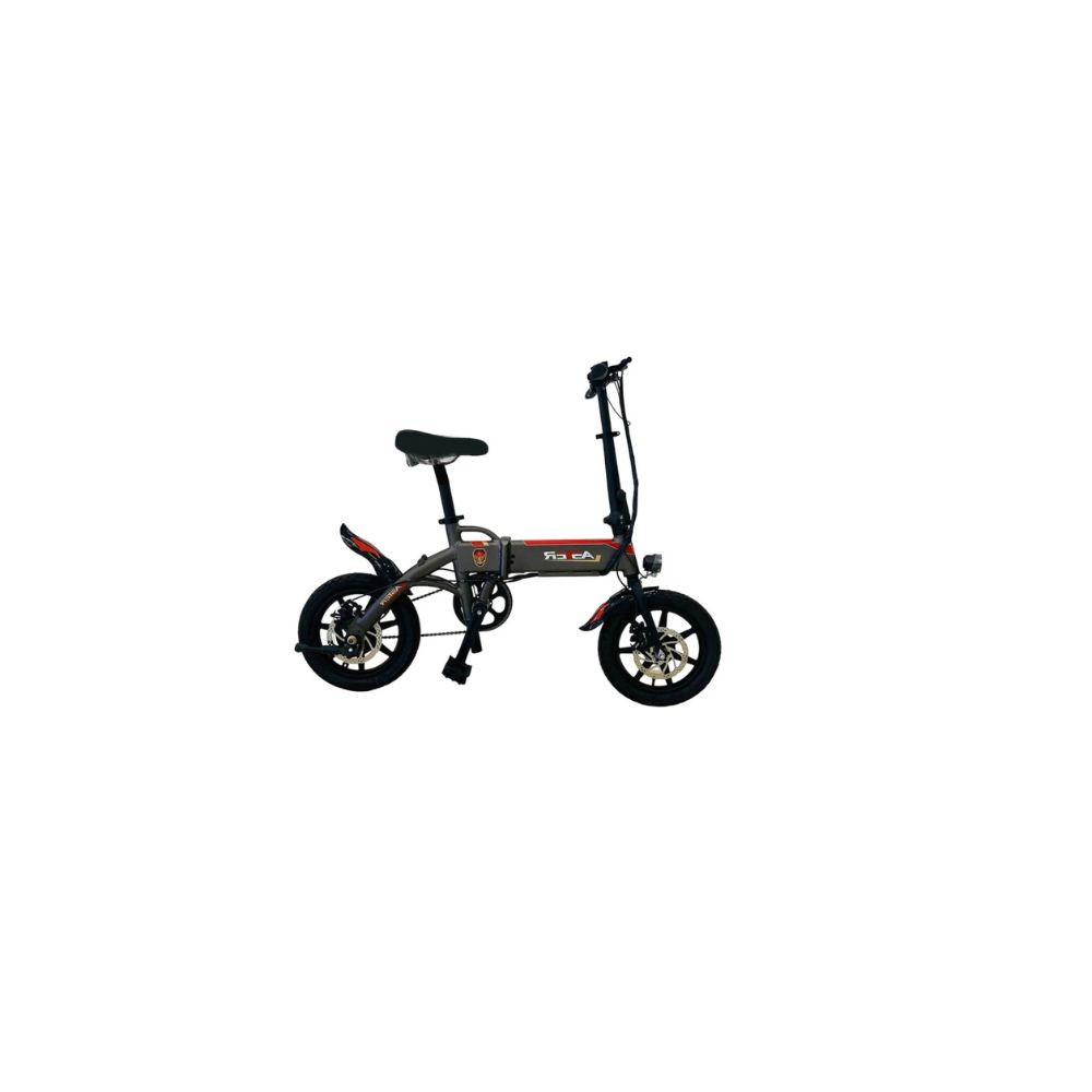 Aster Foldable Electric Bike 36V 250W