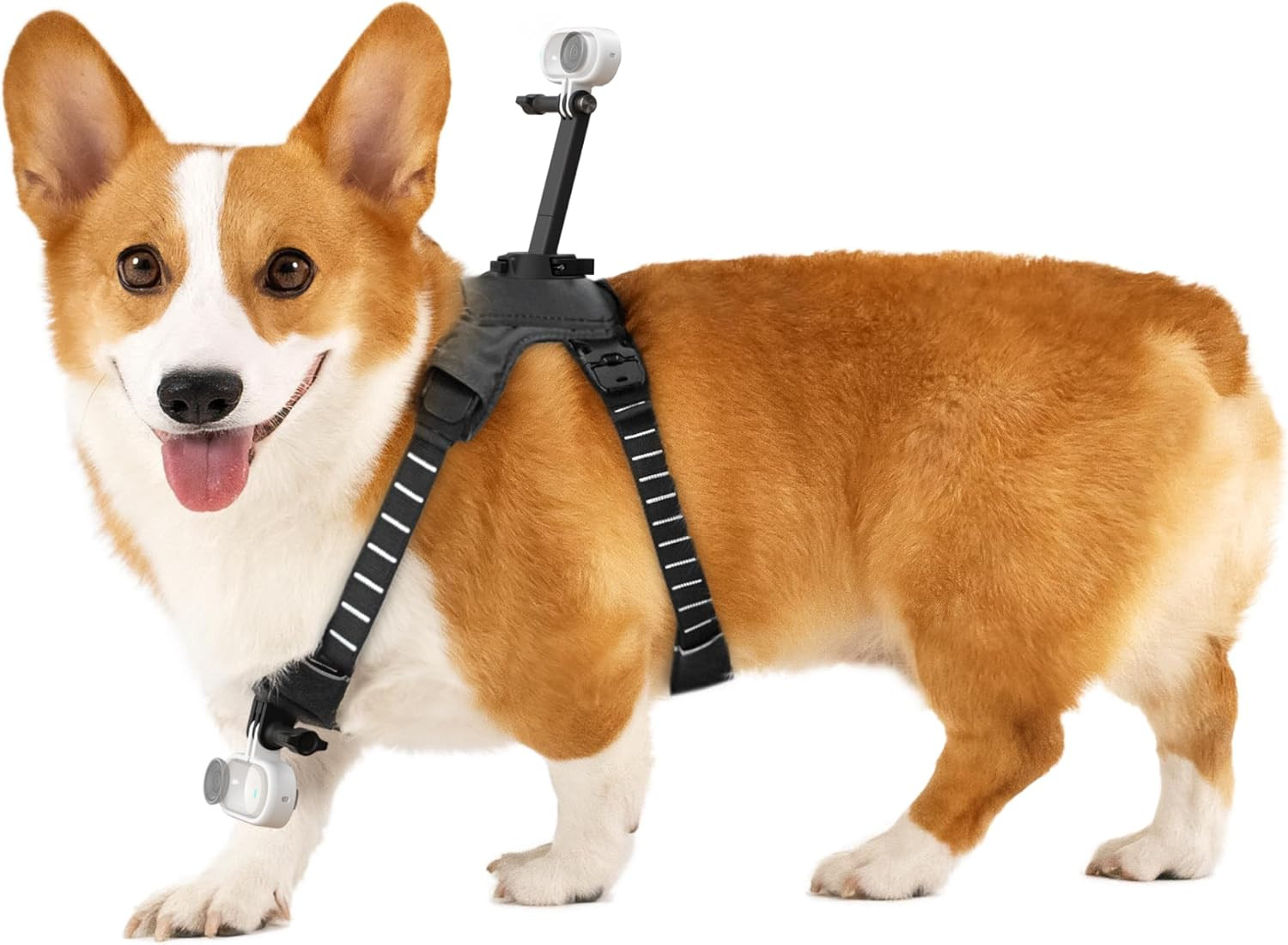 Insta360 GO 3S Accessories (Pet Harness - Medium)