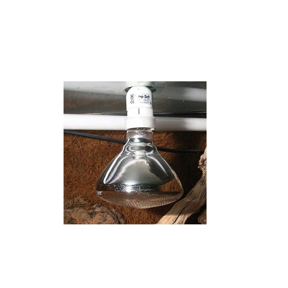 Solar UV Spot Plus Lamp