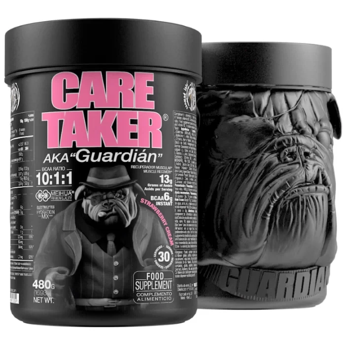 CARETAKER BCAA 480 g