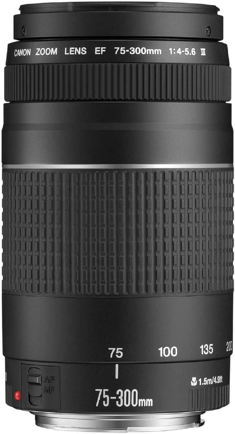 Canon telephoto lens EF 75-300mm F4.0-5.6 III for EOS (58mm filter thread, autofocus) black